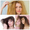 Părul ca paiele: motive, ce să faci dacă părul este ca un cârlig sau o cârpă de spălat, rețete, remedii populare Părul foarte uscat este ca paiele, ce să faci